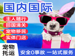 兴凯湖机场快运国际宠物托运 【国